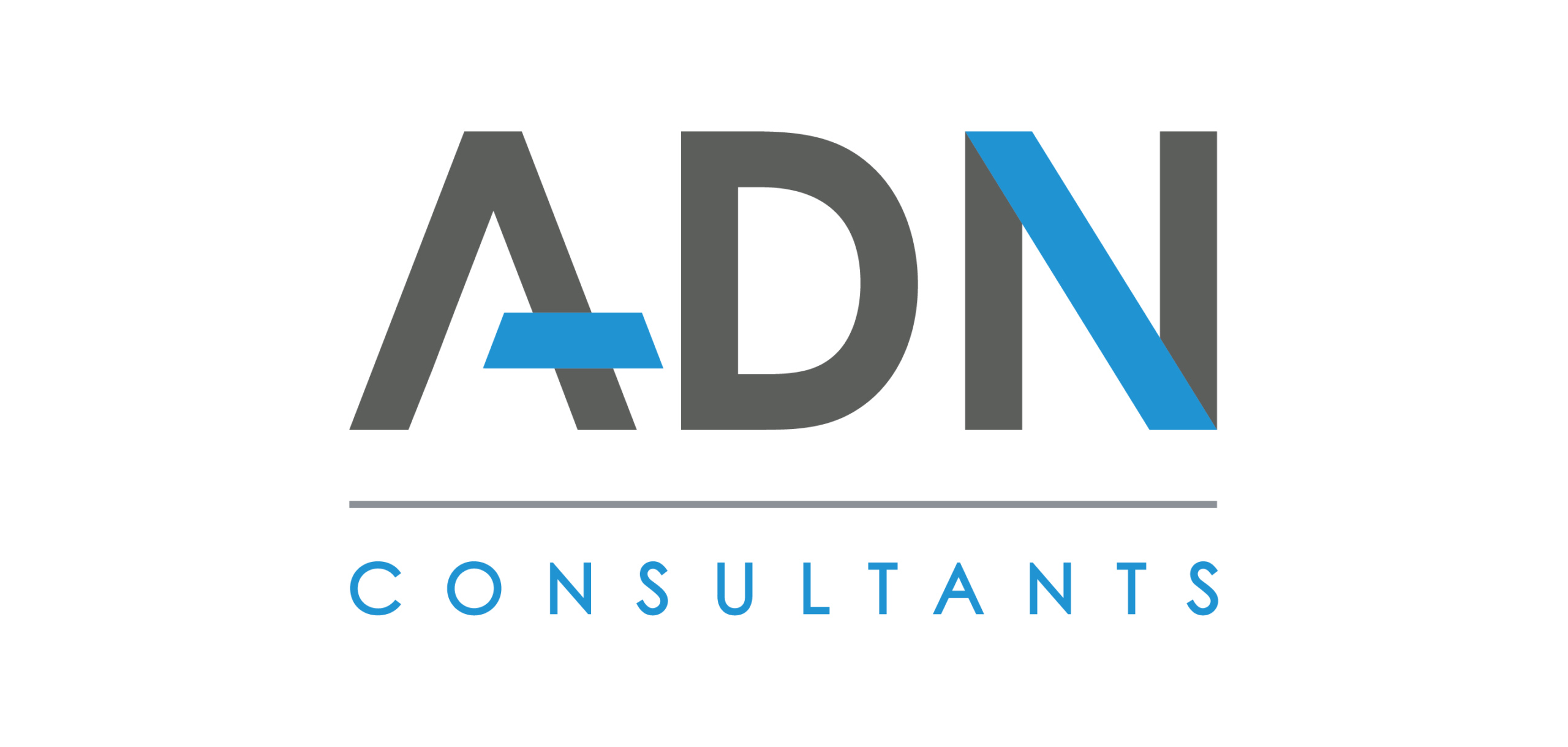logo du groupe ADN consultants